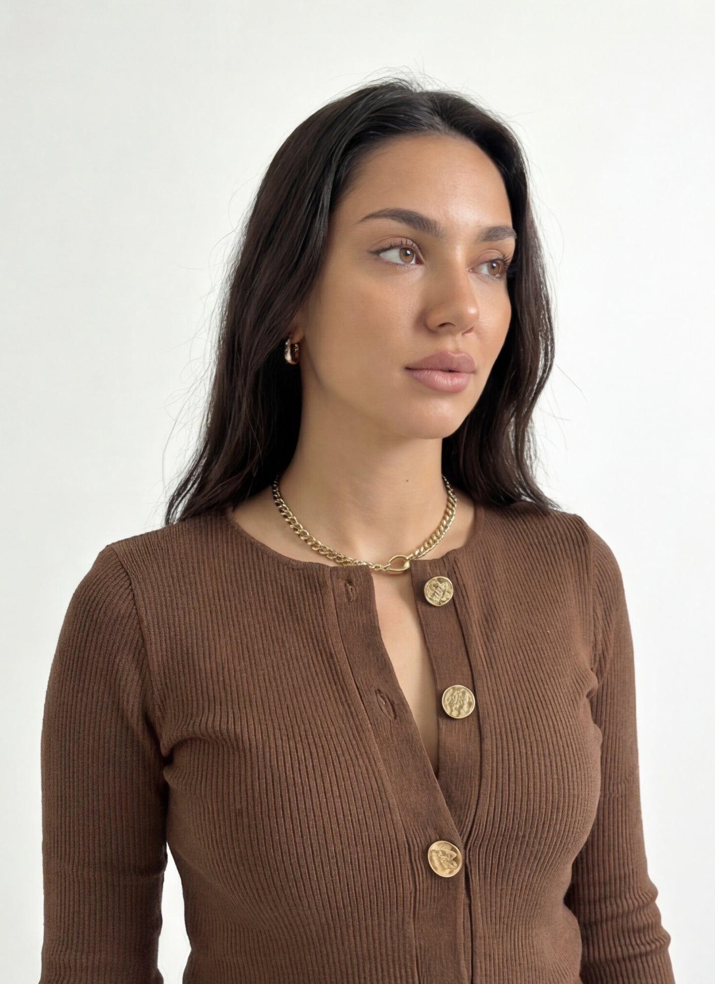 The Classic in Brown